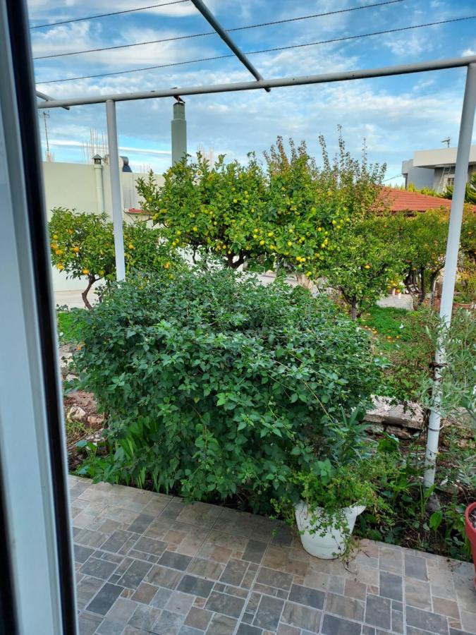 Anastasia'S Garden House Ialysós Eksteriør bilde